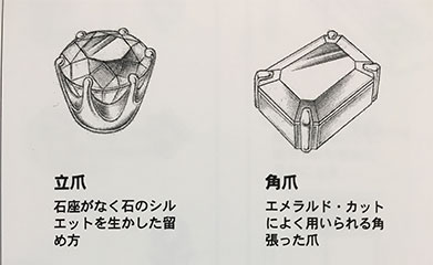 立爪・角爪